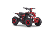 MRF Mini 36V 1000W KIDS ELECTRIC QUAD BIKE