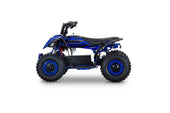 MRF Mini 36V 1000W KIDS ELECTRIC QUAD BIKE