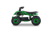 MRF Mini 36V 1000W KIDS ELECTRIC QUAD BIKE