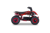 MRF Mini 36V 1000W KIDS ELECTRIC QUAD BIKE