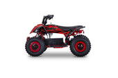 MRF Mini 36V 1000W KIDS ELECTRIC QUAD BIKE