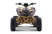 Spider-Pro 72v 50ah 5000w Adult Electric Quad Bike