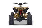 Spider-Pro 72v 50ah 5000w Adult Electric Quad Bike