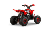 Dazzle Mega Elite 110cc Kids Petrol Quad Bike