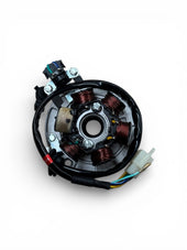 BRZ 140cc Dirt Bike Stator Plate with Wiring