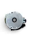 BRZ 140cc Dirt Bike Stator Plate with Wiring