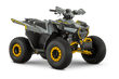 Dazzle Transformer 125cc junior petrol quad